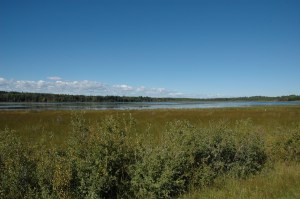 Adams Lake (looking west), August 29, 2012, Alberta Geographical Names Program