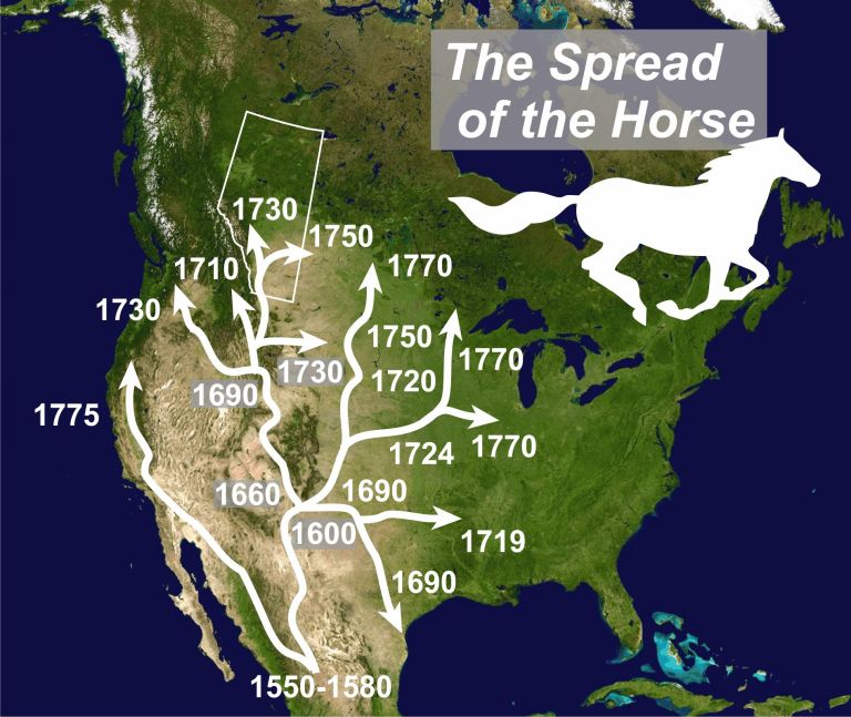 The chronological spread of the domestic horse into Alberta over the last 500 years. 