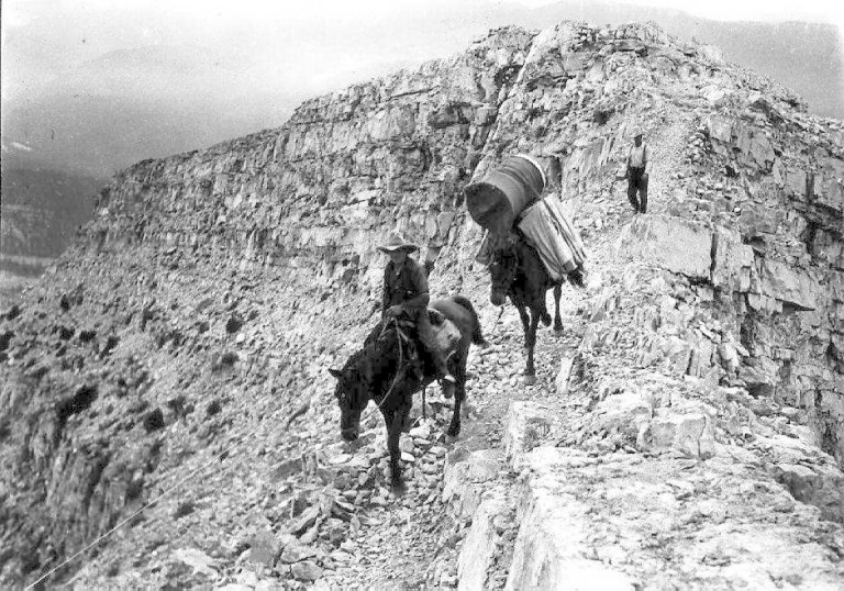 Packing in supplies to Cameron Lookout, 1929. Note the rain barrel for catching rain water. (Photo courtesy of Alberta Sustainable Resource Development.)