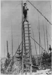 A photograph of a person atop a simple lookout in 1912.