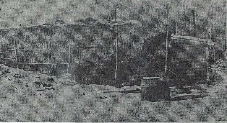 The straw pile, date unknown. (Photo is courtesy of the Conjuring Lake Curling Club.)