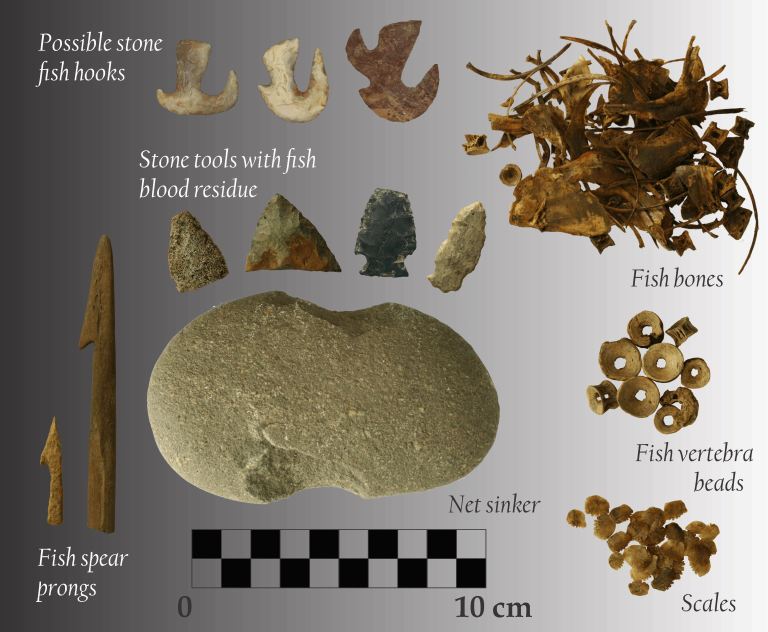 Artifact compilation