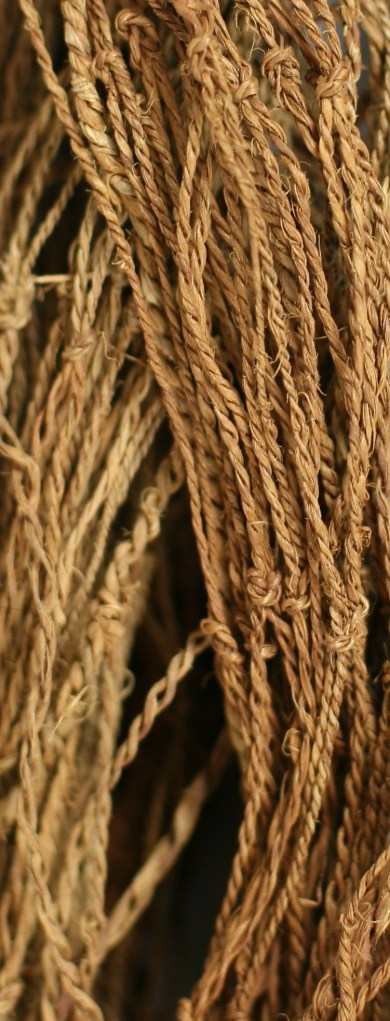 Figure 10. Net IMG_1047