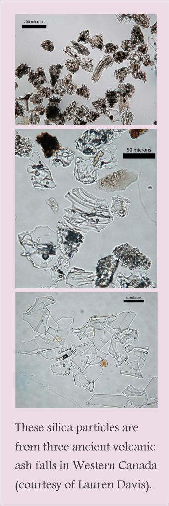 Silica particles for blog