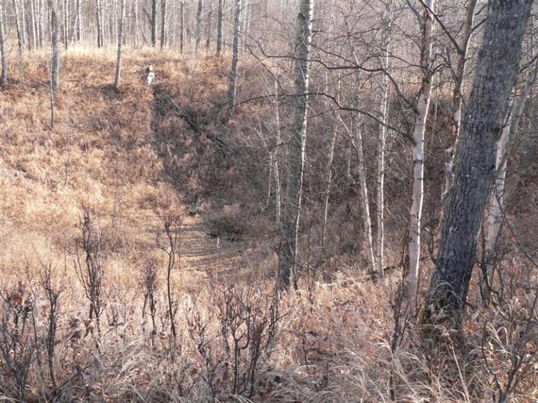 Looking down into the Whitecourt / Woodlands Meteorite Impact Crater (2007)