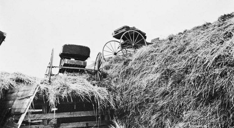 Aftermath of Halloween pranking in Airdrie (1930s). Courtesy of the Glenbow Archives, NA-598-12.
