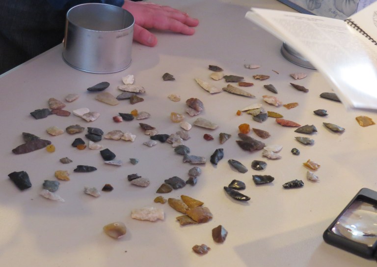 Artifacts brought into a “Stones and Bones” event hosted by the Lethbridge chapter of the ASA, March 2014. Photo courtesy of John Easton.