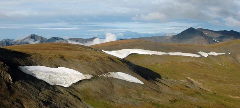 Frozen Finds in the&nbsp;Alpine