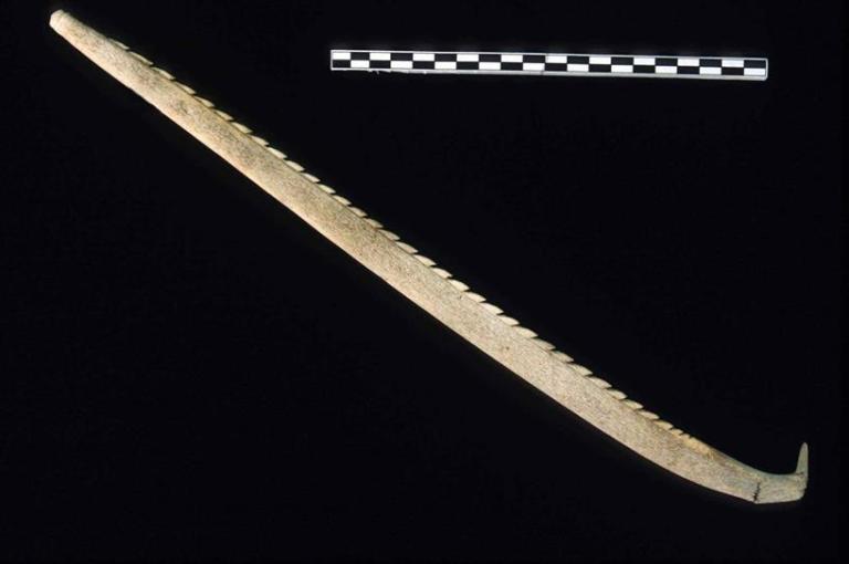 This barbed lance is a carved piece of antler from a Yukon ice patch (courtesy of the Government of Yukon). 