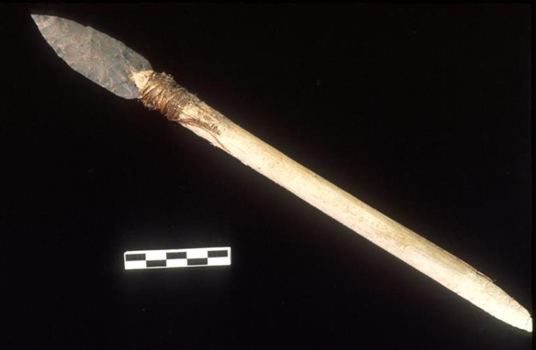 This stone dart is over 4000 years old and is preserved in its original wooden shaft (courtesy of the Government of Yukon).