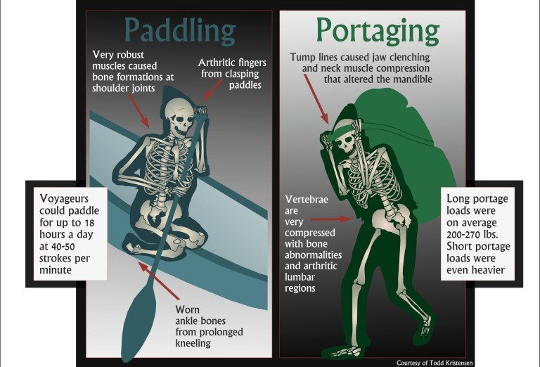 Figure 5. Skeleton fur traders blog