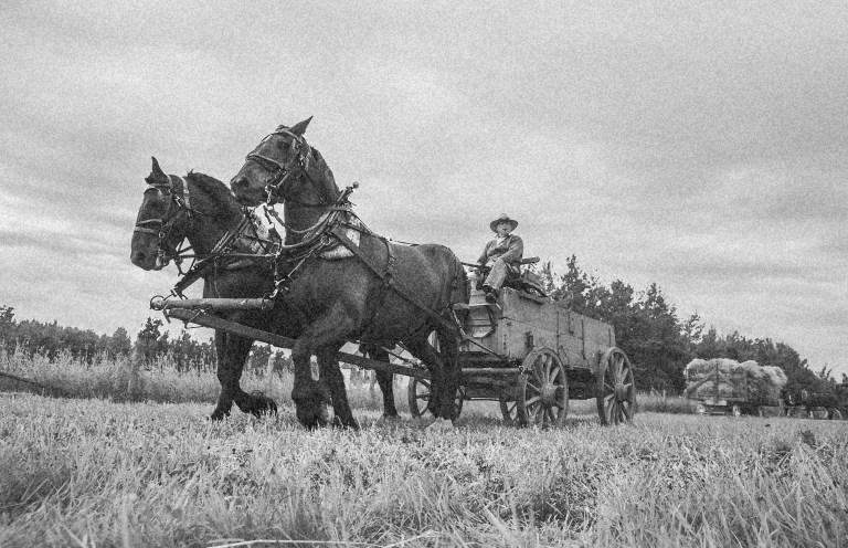 At the Ukrainian Cultural Heritage Village where it is said an apparition of a wagon master with a silent team of horses roams the site. (Photo Credit: Travel Alberta (colour altered))