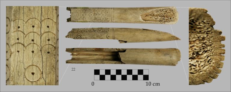 Figure 5. Bone flesher