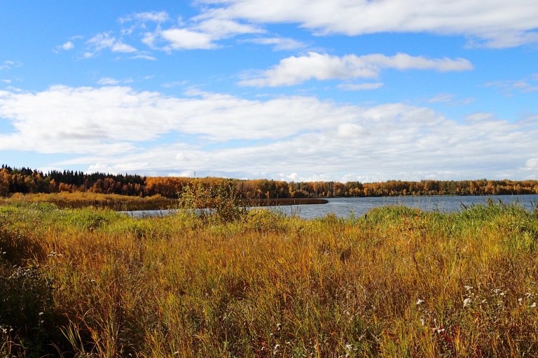Calhoun Bay Provincial Recreation Area, view of Buck Lake (Photo Credit: Caroline Hudecek-Cuffe)