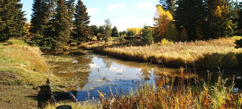 Celebrating National Volunteer Week: Calhoun Bay Archaeological Sites&nbsp;Tour