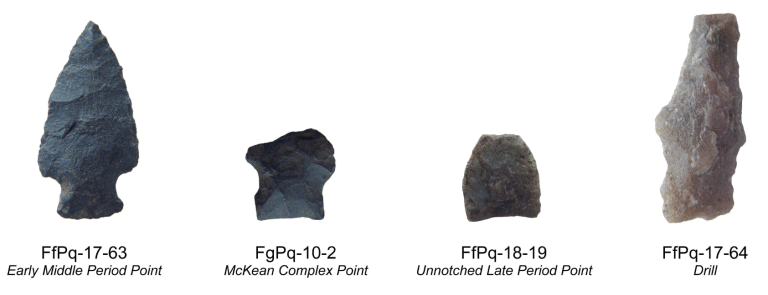 Lithic artifacts recovered during archaeological survey at Buck Lake in 2008.