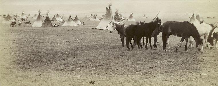 The Miriam and Ira D. Wallach Division of Art, Prints and Photographs: Photography Collection, The New York Public Library. "Indian camp, Blackfoot Reserve, Alberta." New York Public Library Digital Collections. Accessed March 10, 2016. http://digitalcollections.nypl.org/items/510d47dc-4568-a3d9-e040-e00a18064a99