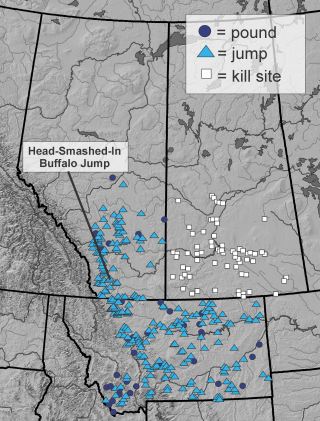 Figure 1. Evidence of large-scale buffalo hunting is spread across the prairies but Head-Smashed-In Buffalo Jump is one of the most significant communal hunting sites in North America.