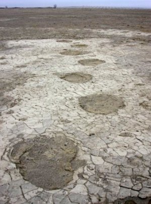 Rare and information-rich trackways from lumbering mammoth were revealed by scouring winds at St. Mary Reservoir (courtesy of Shayne Tolman).