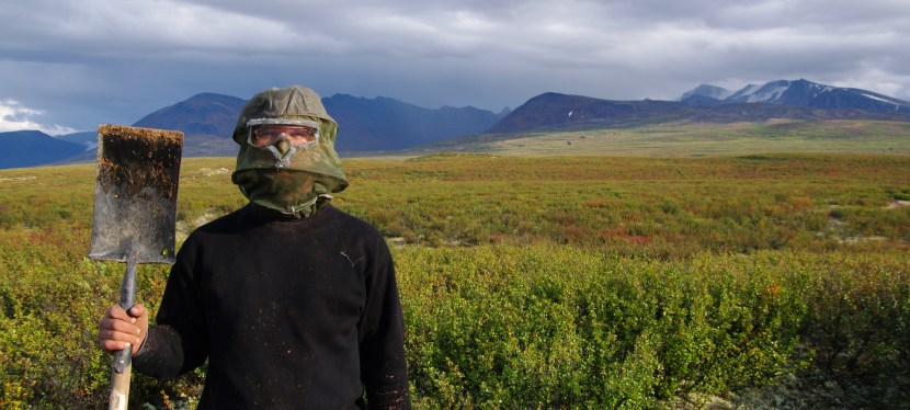 Stone tools, Bugs, and the Boreal Forest: Adventures in Northern&nbsp;Archaeology