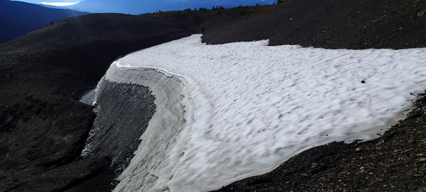 Rocky Mountain Alpine Project: Jasper National Park&nbsp;2016