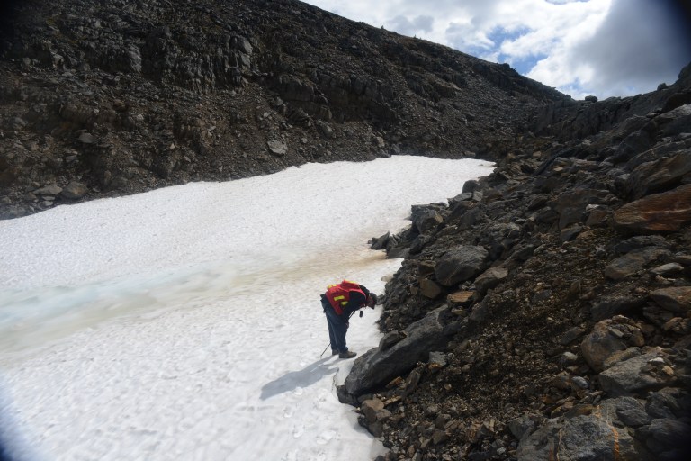 Archaeologist Aaron Osicki surveying an ice patch in the Tonquin Valley.