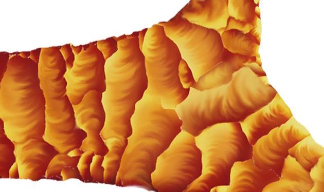 From North Dakota with&nbsp;Flair