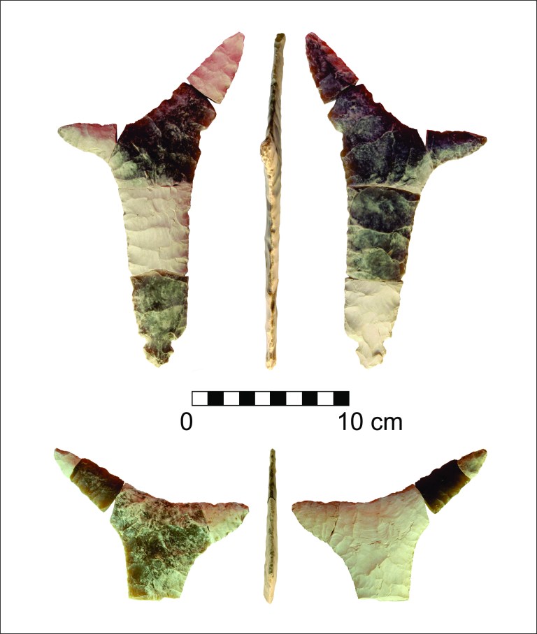 figure-1-eccentrics-colour