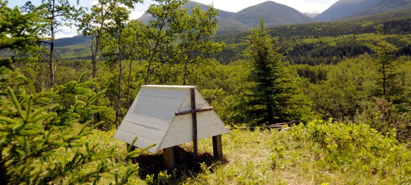 Spirit Houses in Willmore Wilderness Park