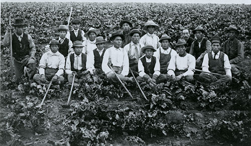 Sugar Beets and Buddha in Raymond, Alberta: Celebrating Asian Heritage Month