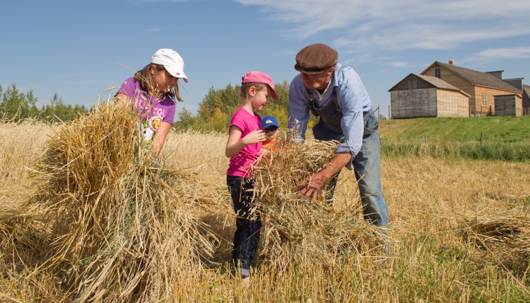 ukrainian_village_harvest