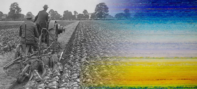 Plough your Furrows Deep: The Foundations of Agriculture in&nbsp;Alberta