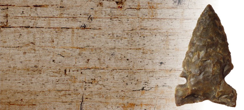 Petrified Wood: Preserving Alberta’s Natural and Human&nbsp;History