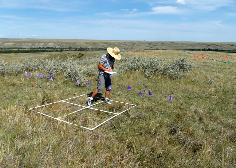 Author Terry Beaulieu busy in the field