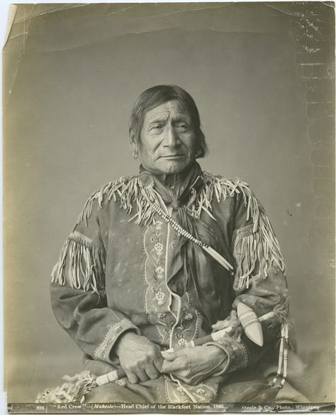 Chief Red Crow