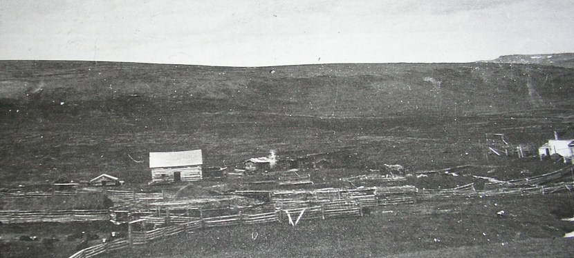 The conservation of Circle L&nbsp;Ranch