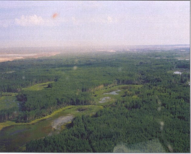 View northwest over the core of the Quarry of the Ancestors designation area showing typical sinuous ridges with aspen forest cover as well as muskeg and water-filled former channels.