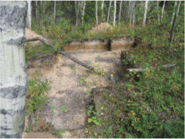 Completed excavations at one of the affiliated sites within the Quarry of the Ancestors designation area.