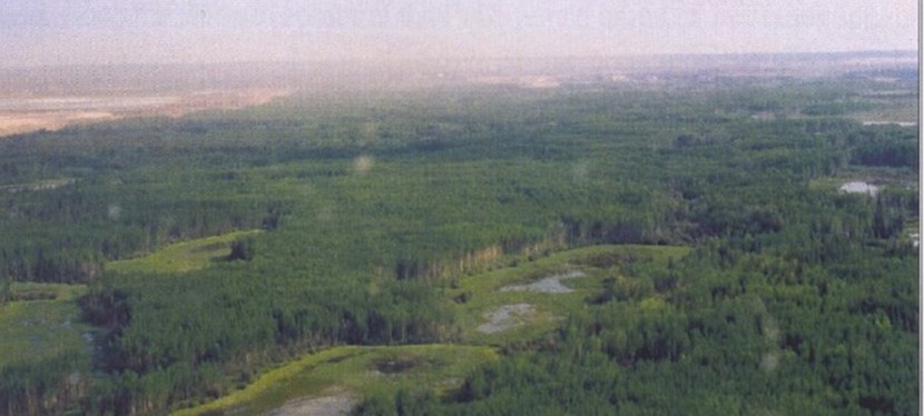 Quarry of the&nbsp;Ancestors