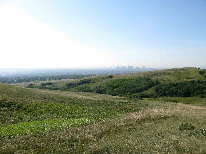 Nose Hill Archaeological Resource, Calgary. Many archaeological resources across the hill are well documented, but other portions of the hill remain unexplored and undoubtedly have the potential to reveal much about the pre-contact use of the hill over the past 9,000 years.