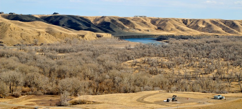 Reciprocity and Renewal: The Blackfoot Seasonal&nbsp;Round