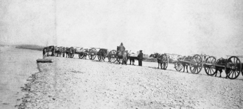 From Buffalo Hunting to Cattle Ranching: The Métis of the Belly&nbsp;River