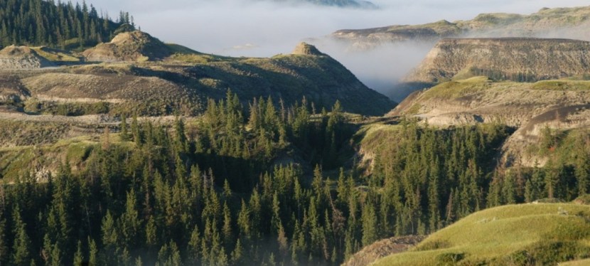 So you’ve found a fossil. Now&nbsp;what?