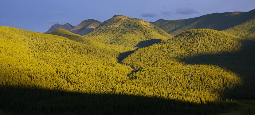 Archaeology and modern forestry in&nbsp;Alberta