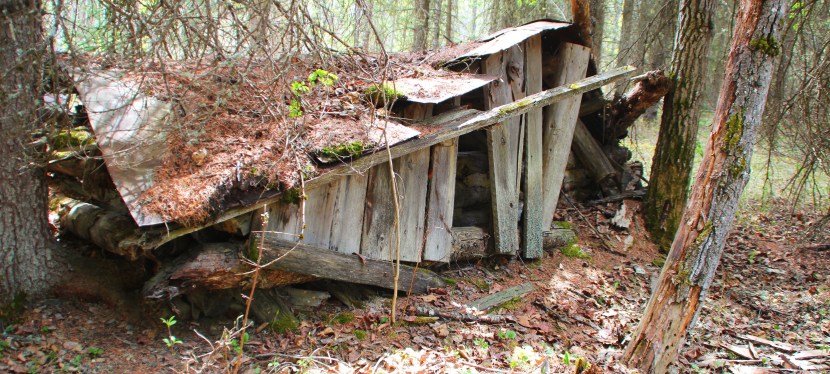A Haven in the Bush: The Baptiste River Métis&nbsp;Settlement