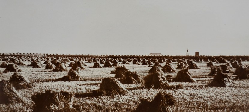 How to sell the Prairies: photography at the Glenbow Library and&nbsp;Archives