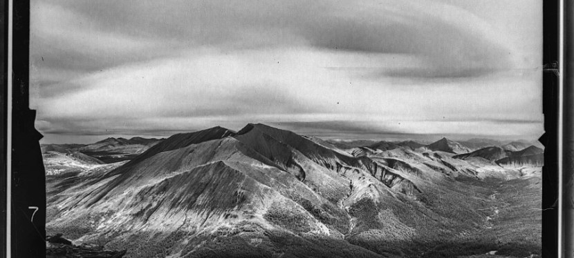 Not Forgotten: Cousins in&nbsp;Arms