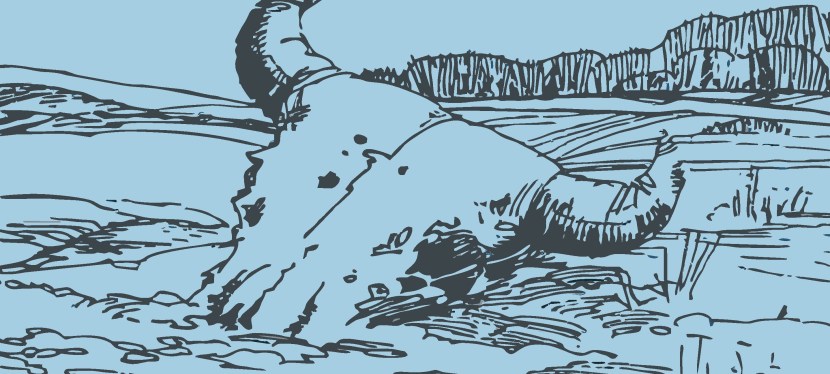 Emerging archaeology in Western Canada: The Occasional Paper Series in 2025 (Part&nbsp;2)