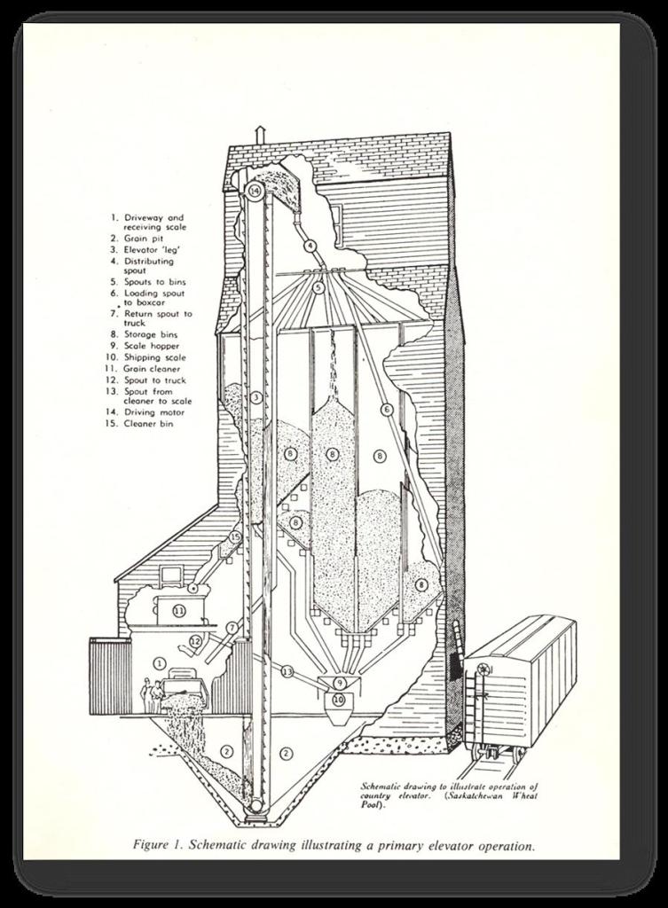 A diagram illustrating how a standard grain elevator operated.